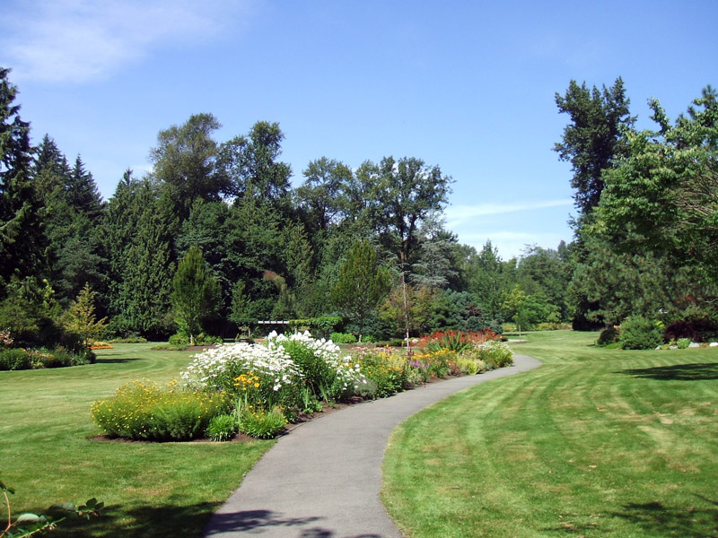 Bear Creek street view