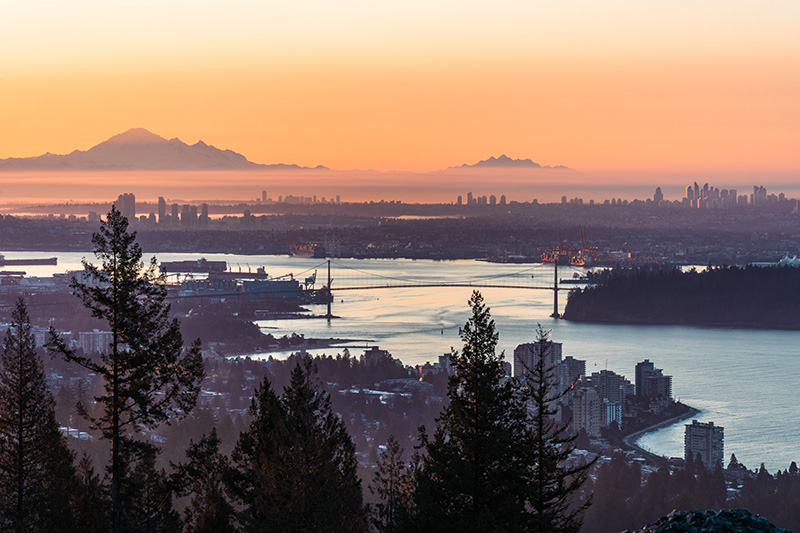 Ladner street view
